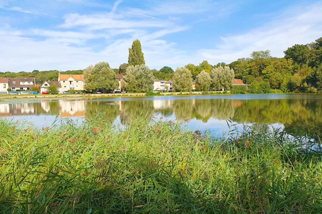 Photo of Others in Velizy-Villacoublay