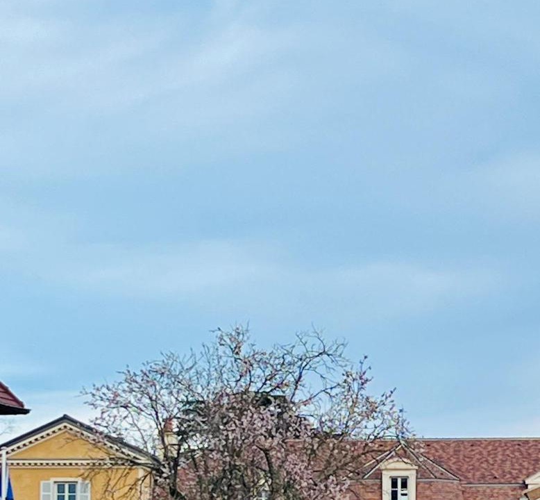 Photo of Others in Meursault