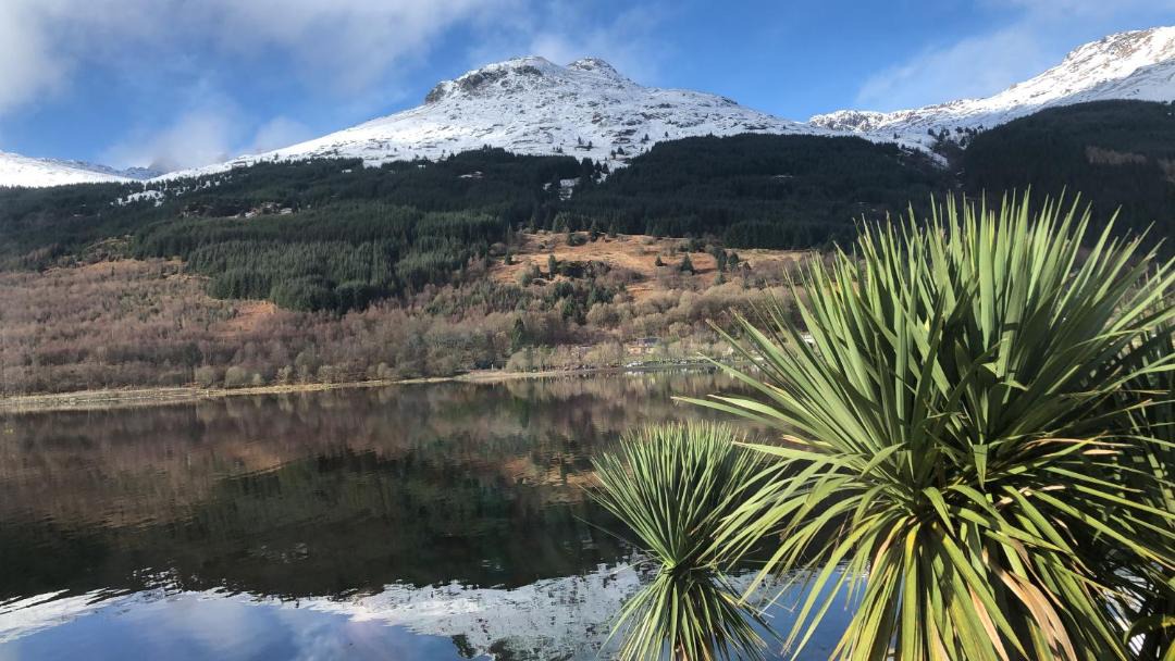 Photo of Others in Arrochar