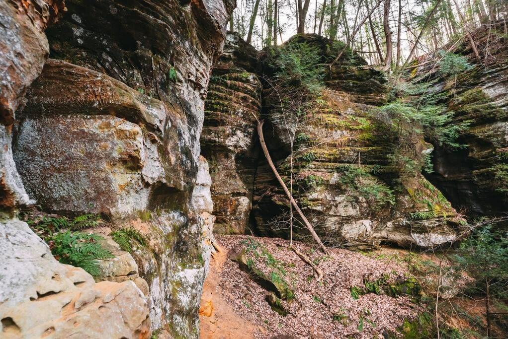 Photo of Others in Rockbridge