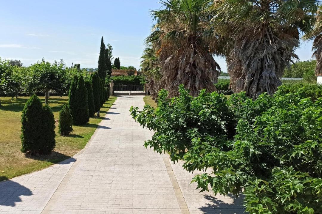 Photo of Others in Sant Pere Pescador
