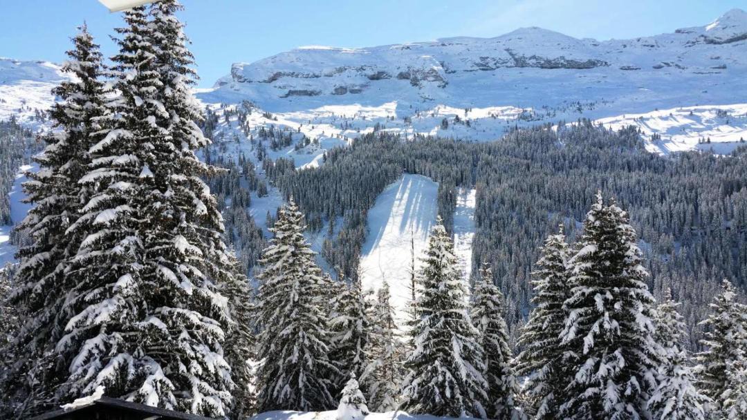 Photo of Others in Flaine