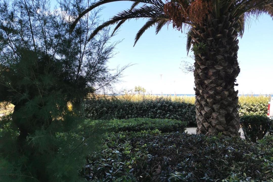 Photo of Others in Port Leucate