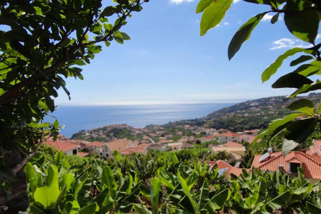 Photo of Others in Ponta do Sol