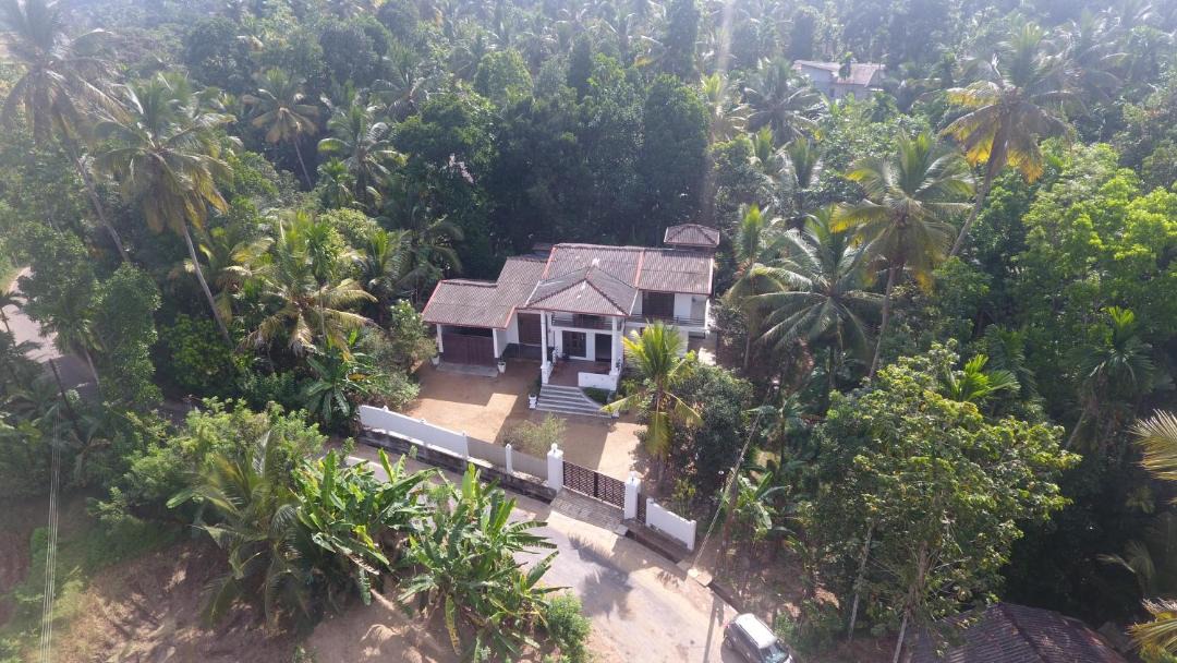 Photo of Others in Pinnawala