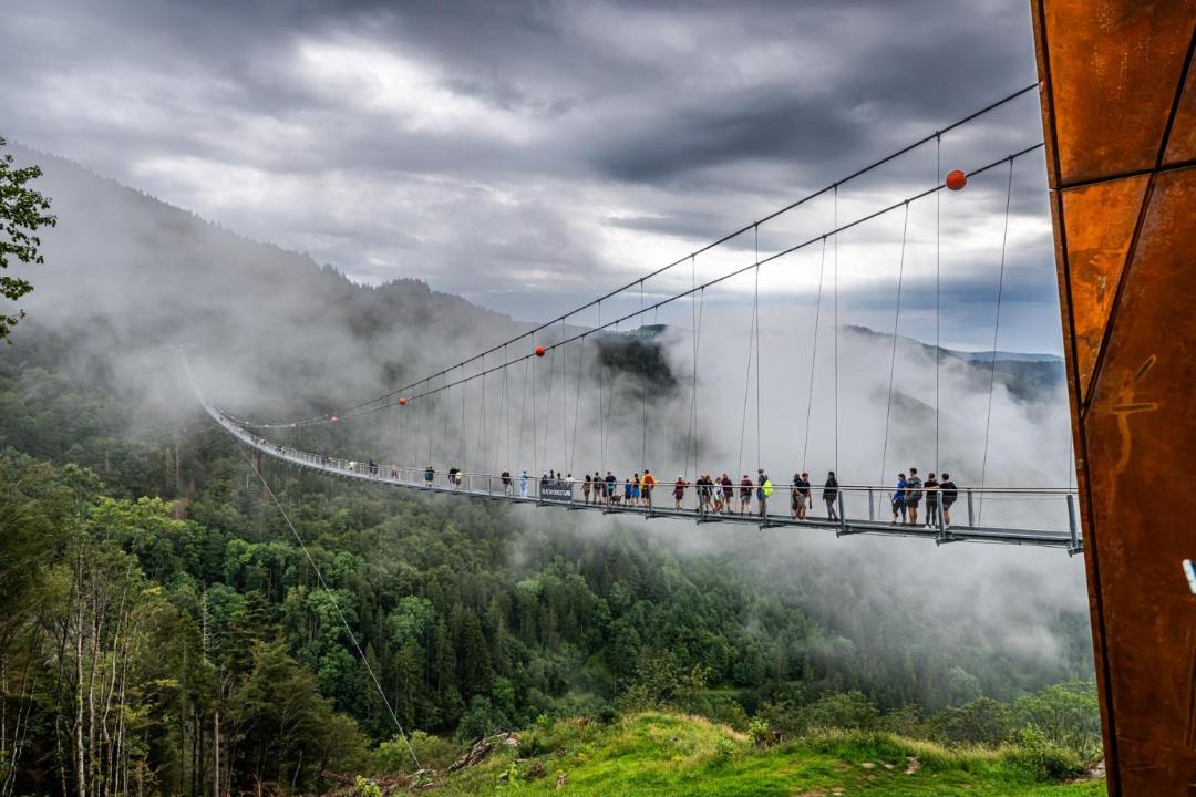 Photo of Others in Todtnauberg