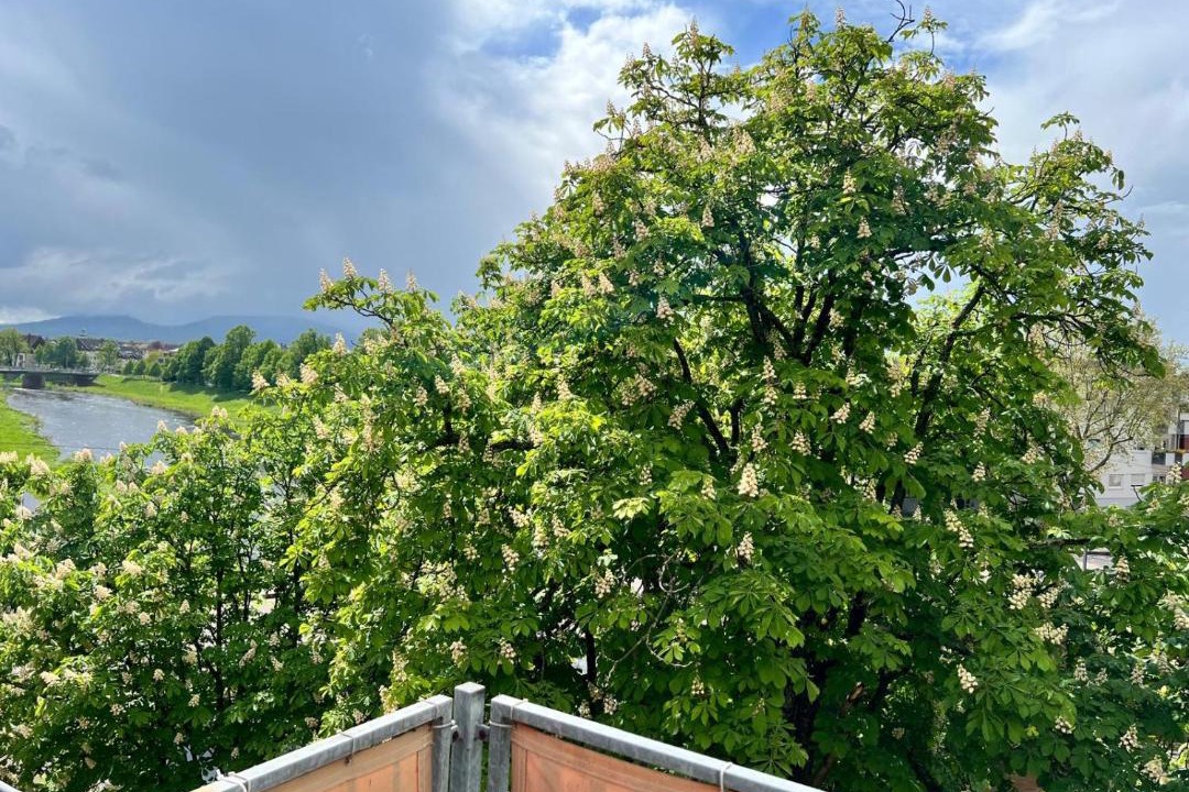 Photo of Others in Rastatt