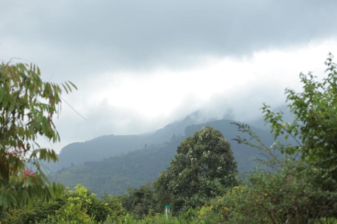 Photo of Others in Bandarawela