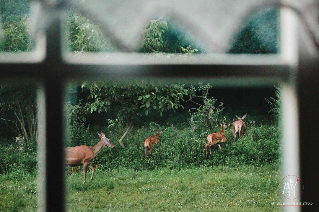 Photo of Others in Kotcse