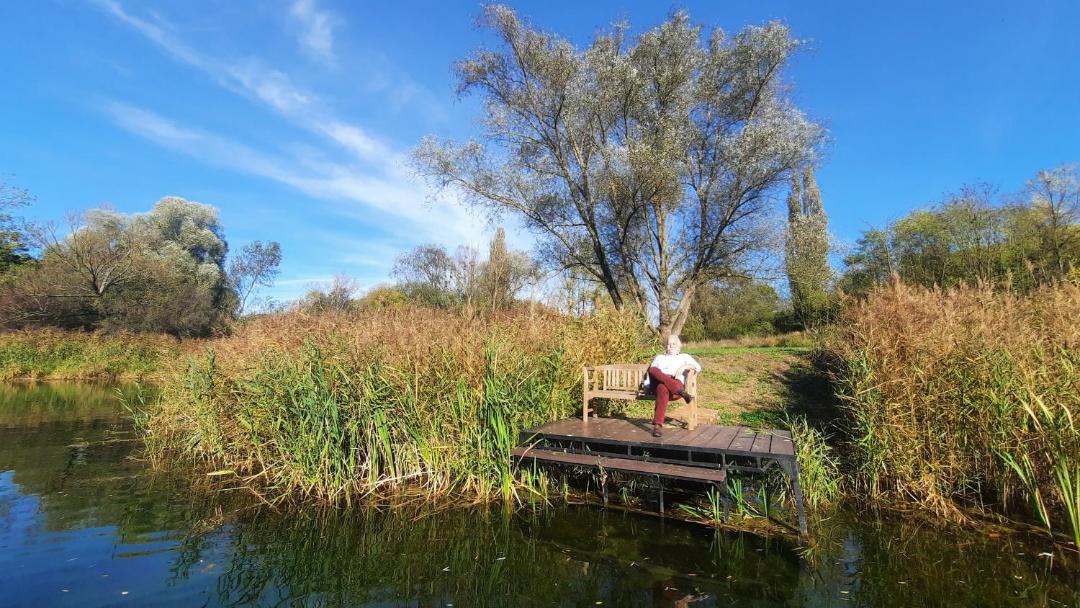 Photo of Others in Kotcse