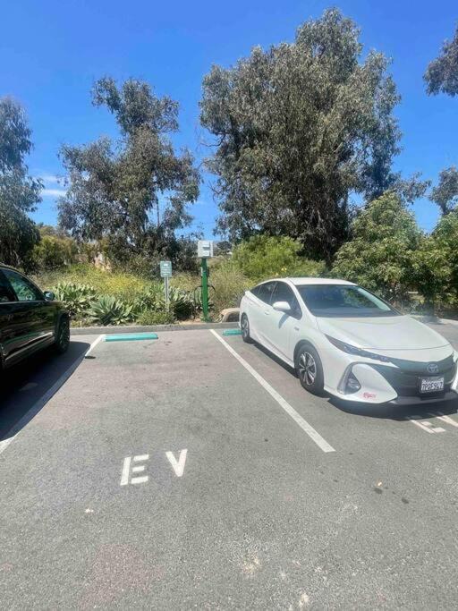 Photo of Others in Summerland