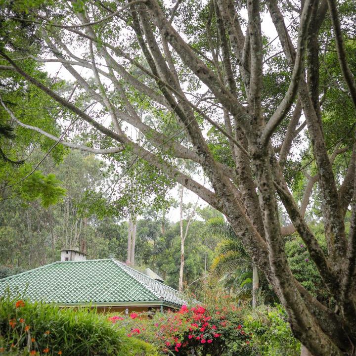 Photo of Others in Bandarawela