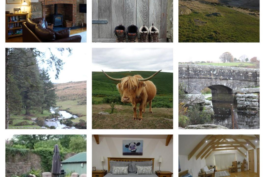 Photo of Others in Moretonhampstead