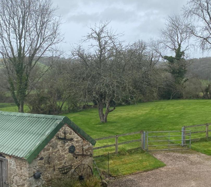 Photo of Others in Moretonhampstead