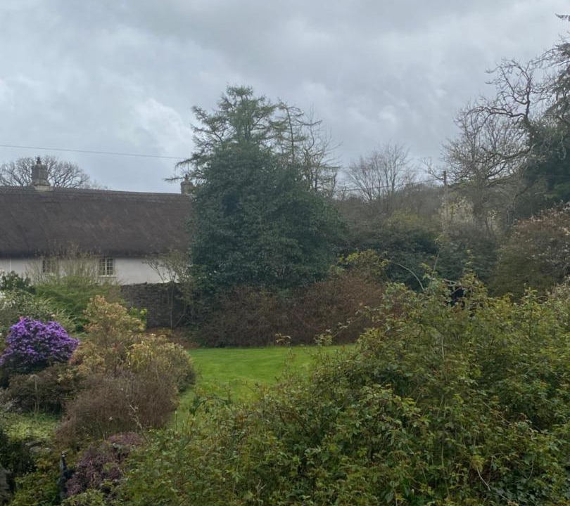 Photo of Outdoor in Moretonhampstead