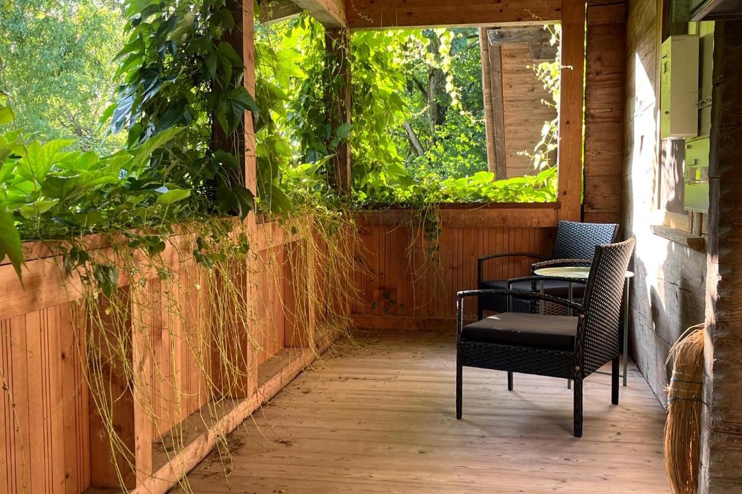Photo of Patio Balcony in Wiler