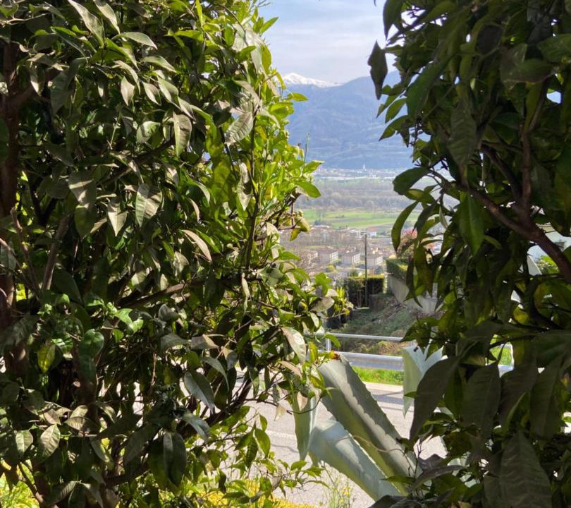 Photo of Outdoor in Riazzino