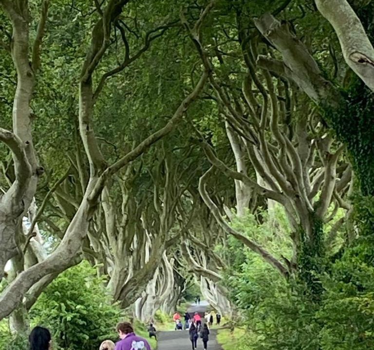 Photo of Others in Ballywalter