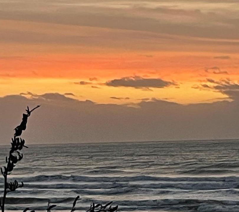 Photo of Others in Raumati South