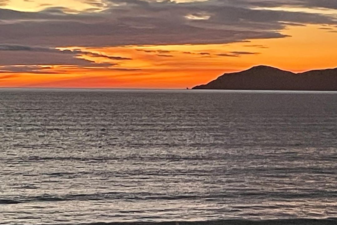 Photo of Others in Raumati South