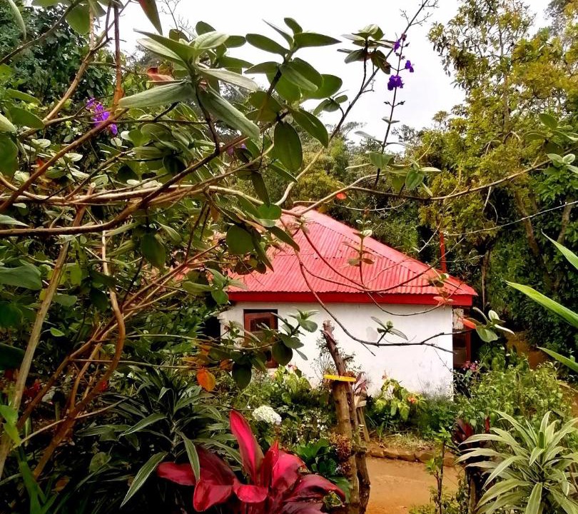 Photo of Others in Haputale