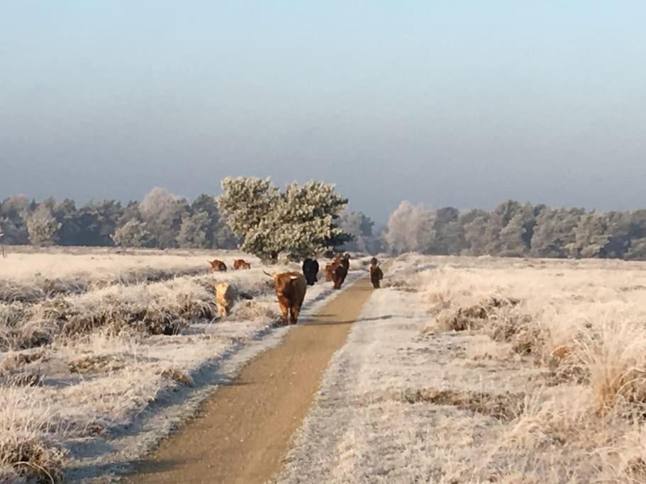 Photo of Others in Garderen