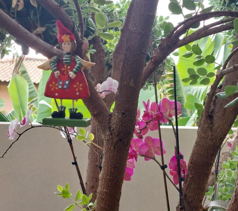 Photo of Others in Jardim do Mar