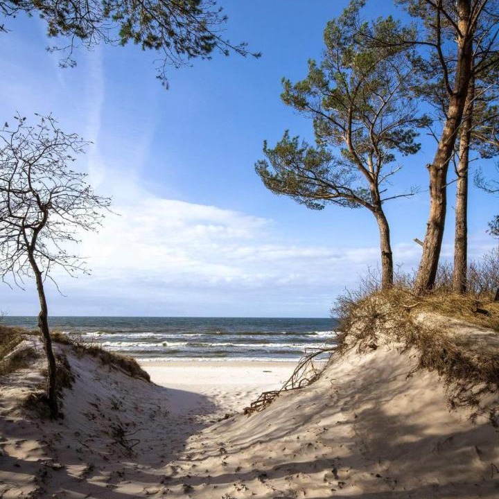 Photo of Outdoor in Grzybowo