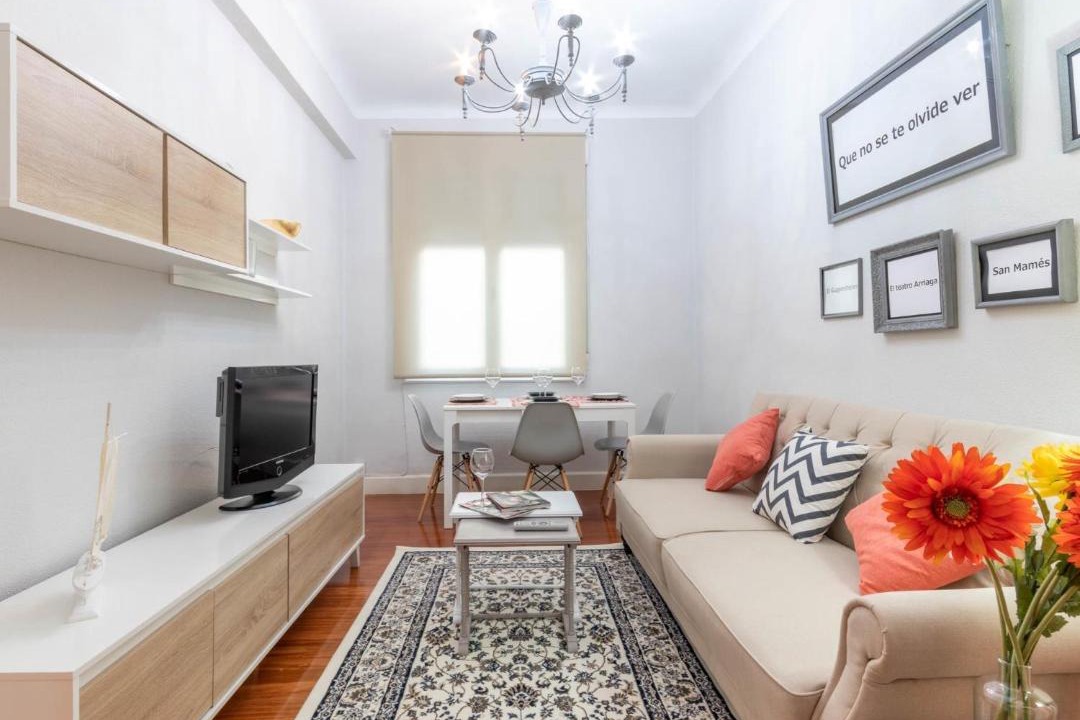 Photo of Livingroom in Ametzola