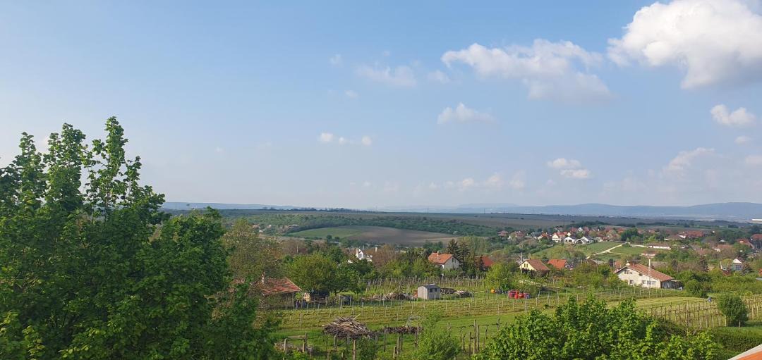 Photo of Outdoor in Etyek