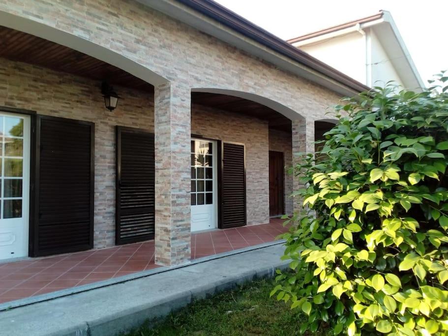 Photo of Buildings in Felgueiras