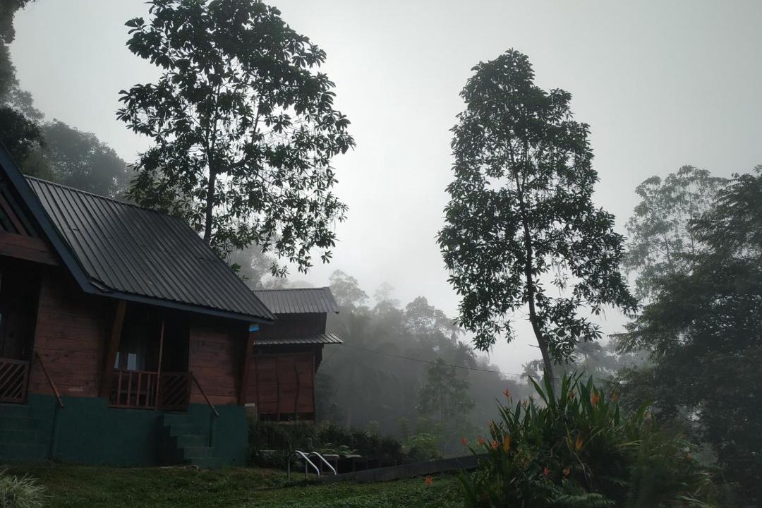 Photo of Others in Kotapola