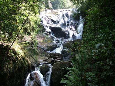 Photo of Others in Kotapola