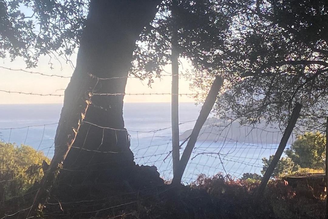 Photo of Others in Mundaka
