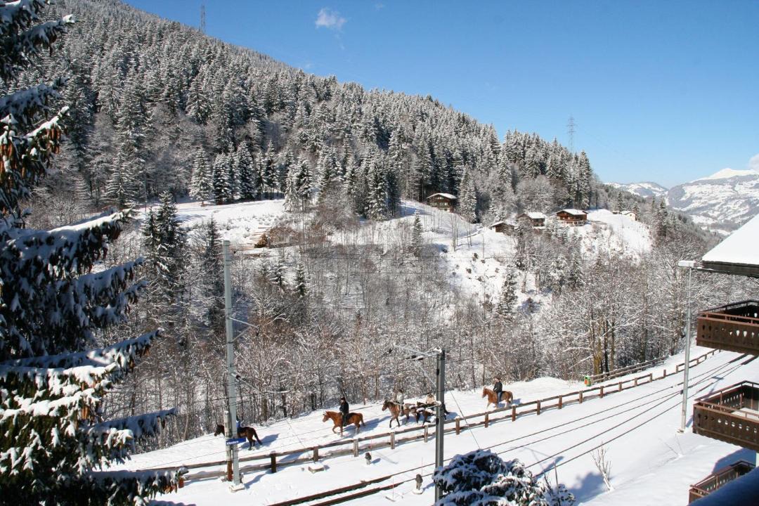 Photo of Others in Klosters Platz