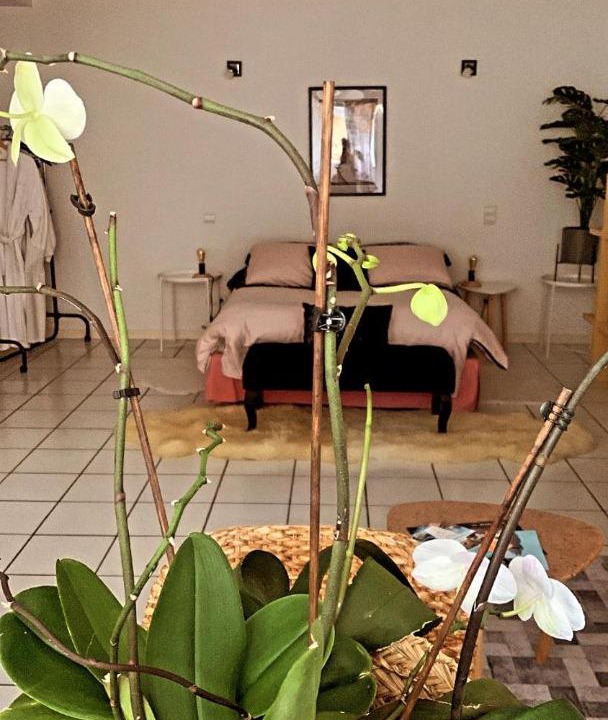 Photo of Livingroom in Aubiere