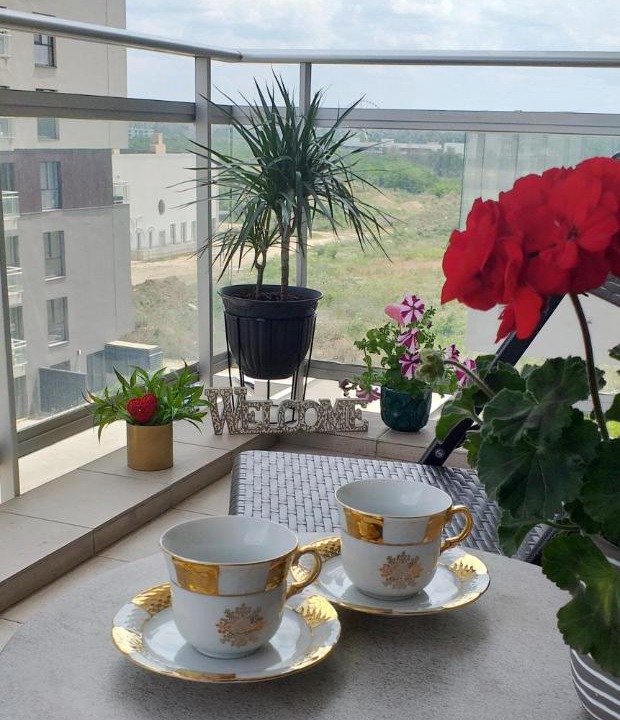 Photo of Patio Balcony in Sector 2