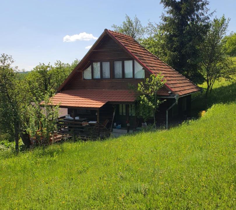 Photo of Buildings in Blajeni