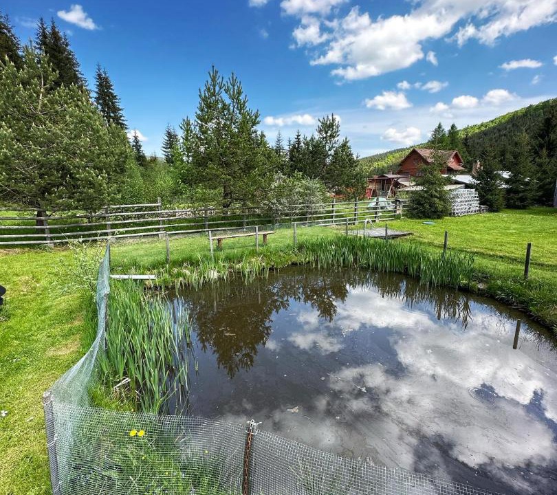 Photo of Outdoor in Covasna