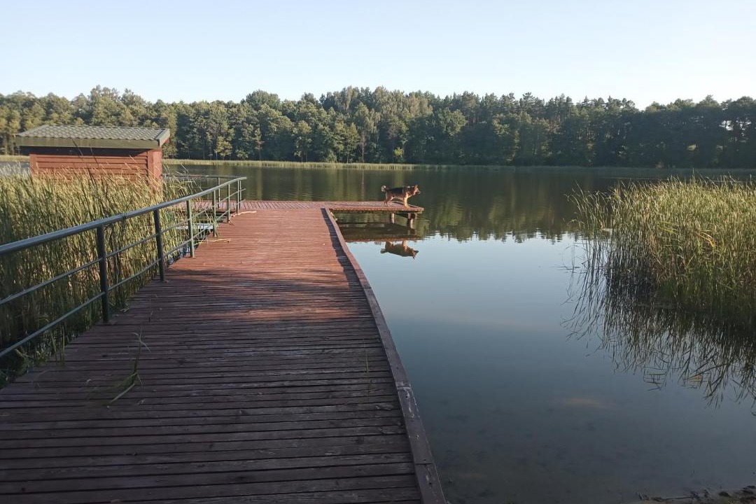 Photo of Outdoor in Barczewo