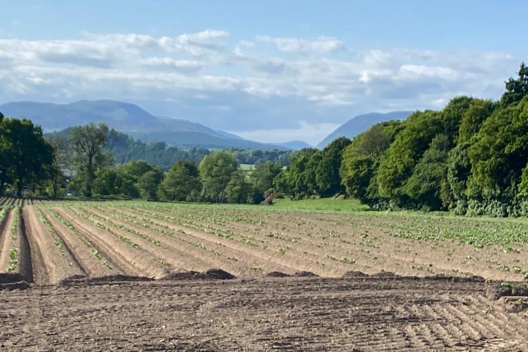 Photo of Others in Crieff
