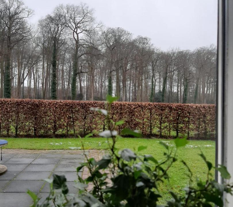 Photo of Others in Municipality of Voorst