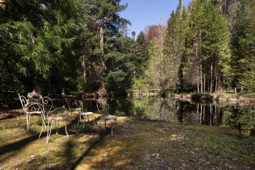 Photo of Outdoor in Saissac