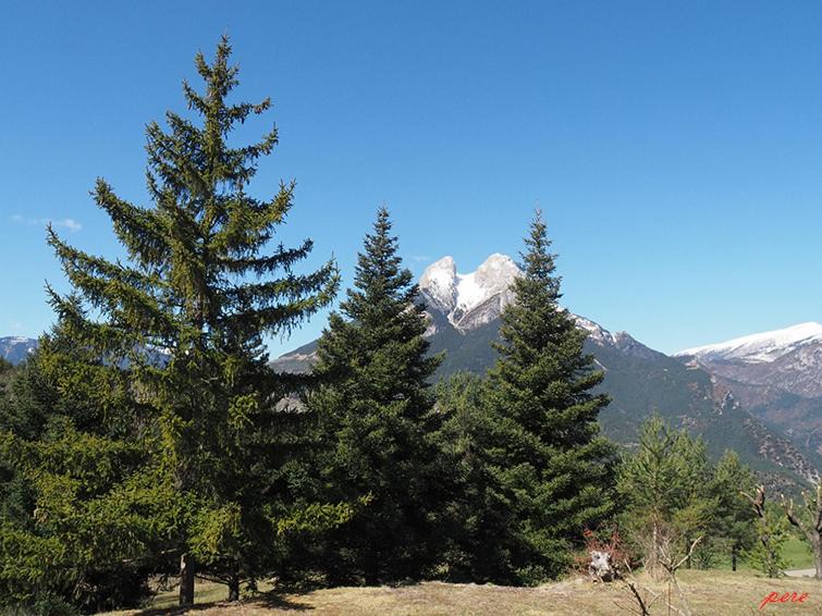 Photo of Outdoor in Saldes