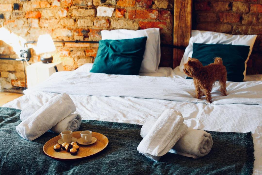 Photo of Bedroom in Pasym