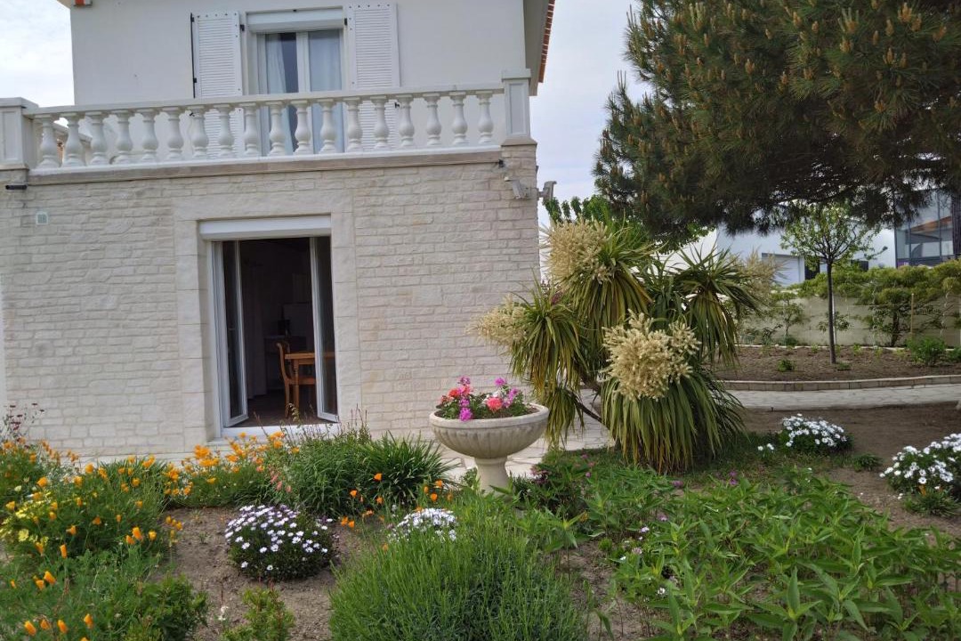 Photo of Others in Saint-Hilaire-de-Riez