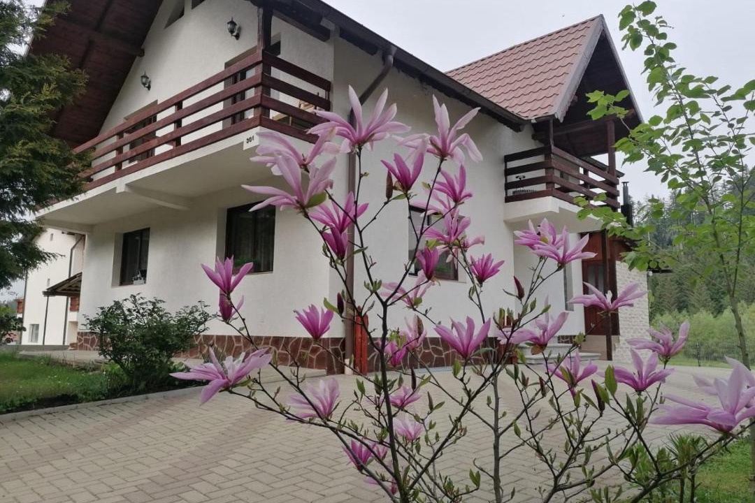 Photo of Buildings in Gura Humorului