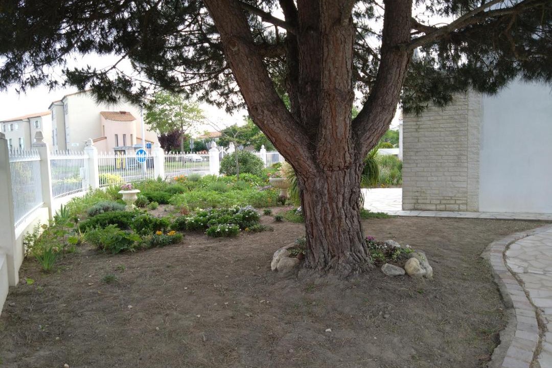 Photo of Others in Saint-Hilaire-de-Riez