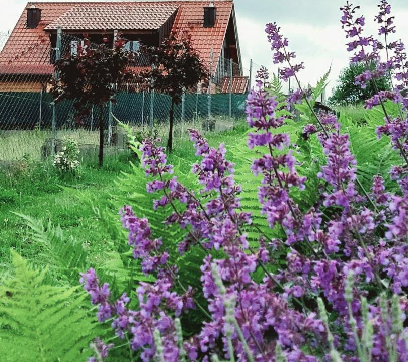 Photo of Others in Gietrzwald