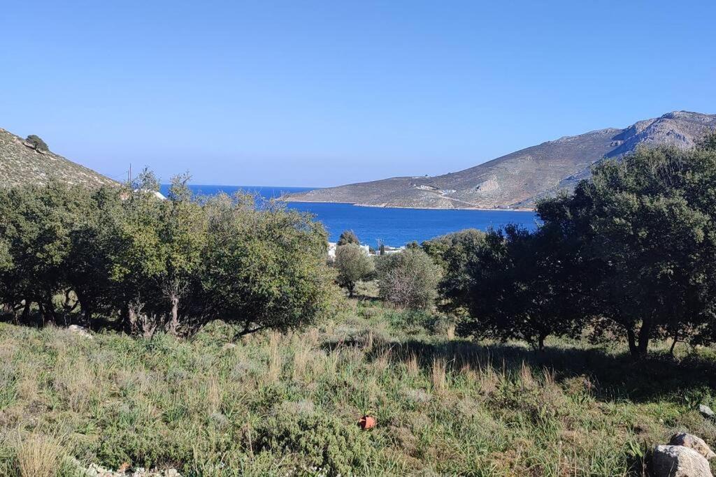 Photo of Others in Tilos